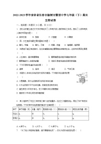 2022-2023学年吉林省长春市榆树市慧望中学七年级（下）期末生物试卷（含解析）