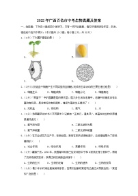 _2022年广西百色市中考生物真题及答案