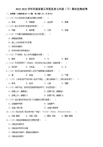 河南省商丘市夏邑县2022-2023学年七年级下学期期末生物试卷（含答案）