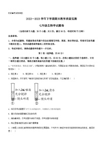 云南省玉溪市峨山县2022-2023学年七年级下学期期末生物试题（含答案）