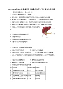 2022-2023学年山东省德州市宁津县七年级（下）期末生物试卷（含解析）