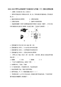 2022-2023学年山东省济宁市曲阜市七年级（下）期末生物试卷（含解析）