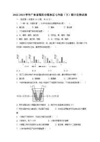 2022-2023学年广东省揭阳市揭东区七年级（下）期中生物试卷（含解析）