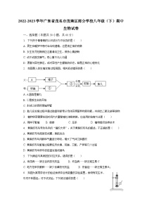 2022-2023学年广东省茂名市茂南区部分学校八年级（下）期中生物试卷（含解析）