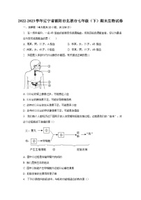 辽宁省朝阳市北票市2022-2023学年七年级下学期期末生物试卷（含答案）