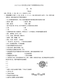 河南省周口市川汇区2022-2023学年七年级下学期6月期末生物试题（含答案）