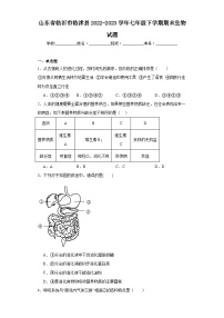 山东省临沂市临沭县2022-2023学年七年级下学期期末生物试题（含答案）