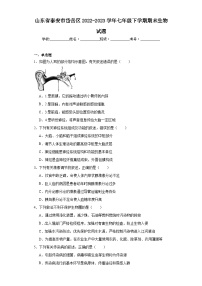 山东省泰安市岱岳区2022-2023学年七年级下学期期末生物试题（含答案）