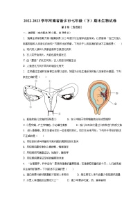 2022-2023学年河南省新乡市七年级（下）期末生物试卷（含解析）