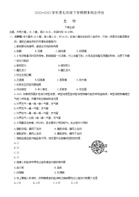 河南省漯河市召陵区2022-2023学年七年级下学期6月期末生物试题（含答案）