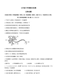 山东省泰安市新泰市2022-2023学年七年级下学期期末生物试题（含答案）