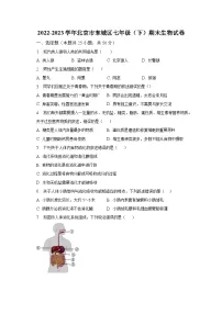 2022-2023学年北京市东城区七年级(下)期末生物试卷(含解析)