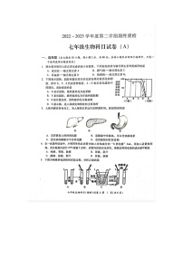 广东省揭阳市榕城区2022-2023学年七年级下学期期末考试生物试题（图片版含答案）