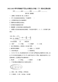 河南省平顶山市郏县2022-2023学年七年级下学期期末生物试卷（含答案）