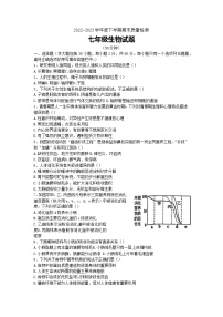 山东省日照市岚山区2022-2023学年七年级下学期期末考试生物试题（含答案）