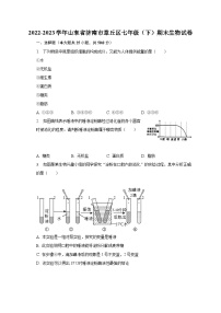 2022-2023学年山东省济南市章丘区七年级（下）期末生物试卷（含解析）