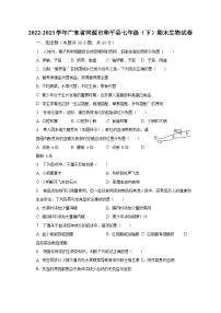 2022-2023学年广东省河源市和平县七年级（下）期末生物试卷（含解析）