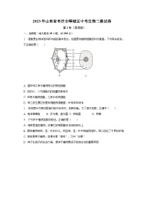 2023年山东省枣庄市峄城区中考生物二模试卷（含解析）