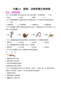 2023年全国生物中考真题试题分类汇编——专题13 植物、动物和微生物类群(全国通用)