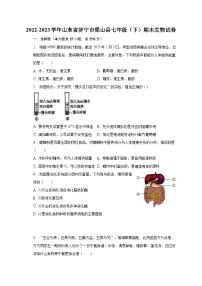 2022-2023学年山东省济宁市梁山县七年级（下）期末生物试卷（含解析）