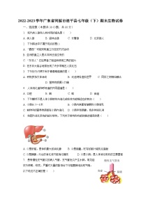 2022-2023学年广东省河源市连平县七年级（下）期末生物试卷（含解析）