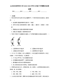 山东省东营市河口区2022-2023学年七年级下学期期末生物试题（含答案）