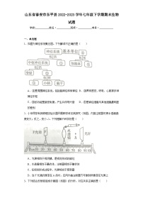 山东省泰安市东平县2022-2023学年七年级下学期期末生物试题（含答案）