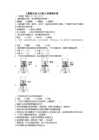 七年级上期末生物试题