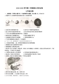 河南省平顶山市宝丰县2022-2023学年七年级下学期期末生物试题(含答案)