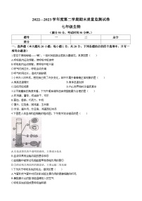 河南省驻马店市正阳县2022-2023学年七年级下学期期末生物试题（含答案）