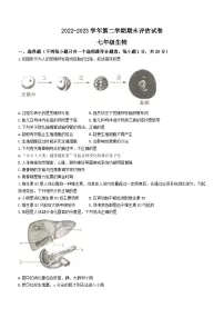 河南省平顶山市宝丰县2022-2023学年七年级下学期期末生物试题(含答案)