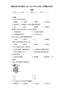 福建省泉州市泉港区2022-2023学年七年级下学期期末生物试题（含答案）