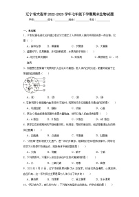 辽宁省大连市2022-2023学年七年级下学期期末生物试题（含答案）