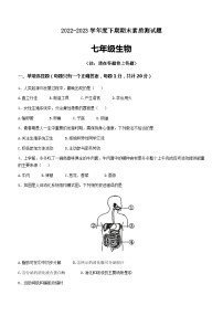 河南省驻马店市汝南县2022-2023学年七年级下学期期末生物试题（含答案）