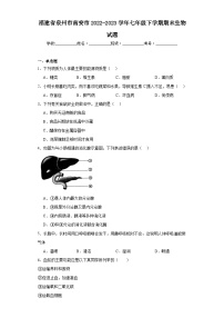 福建省泉州市南安市2022-2023学年七年级下学期期末生物试题（含答案）