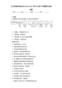 山东省泰安市泰山区2022-2023学年七年级下学期期末生物试题（含答案）