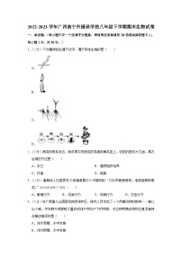 广西南宁外国语学校2022-2023学年八年级下学期期末生物试卷（含答案）