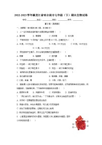 黑龙江省哈尔滨市2022-2023学年七年级下学期期末生物试卷（含答案）