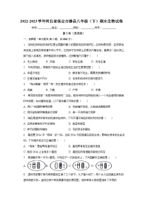 河北省保定市雄县2022-2023学年八年级下学期期末生物试卷（含答案）