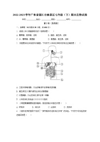 广东省湛江市麻章区2022-2023学年七年级下学期期末生物试卷（含答案）