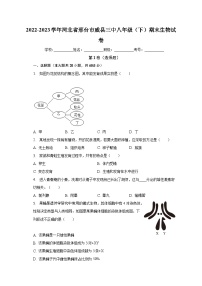 河北省邢台市威县三中2022-2023学年八年级下学期期末生物试卷（含答案）