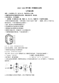 江苏省南通市海门区2022-2023学年七年级下学期期末生物试题（含答案）