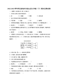 2022-2023学年河北省沧州市盐山县七年级（下）期末生物试卷（含解析）