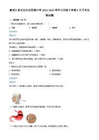 黑龙江省安达市任民镇中学2022-2023学年七年级下学期4月月考生物试题（解析版）