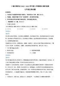 湖北省十堰市郧阳区2022-2023学年七年级上学期期末生物试题（解析版）