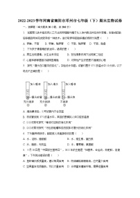 2022-2023学年河南省南阳市邓州市七年级（下）期末生物试卷（含解析）