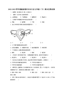 2022-2023学年福建省福州市台江区七年级（下）期末生物试卷（含解析）