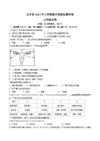 湖南省常德市安乡县2022-2023学年七年级下学期期末生物试题（含答案）