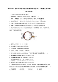 2022-2023学年山东省泰安市肥城市七年级（下）期末生物试卷（五四学制）（含解析）