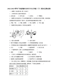 2022-2023学年广东省梅州市兴宁市七年级（下）期末生物试卷（含解析）